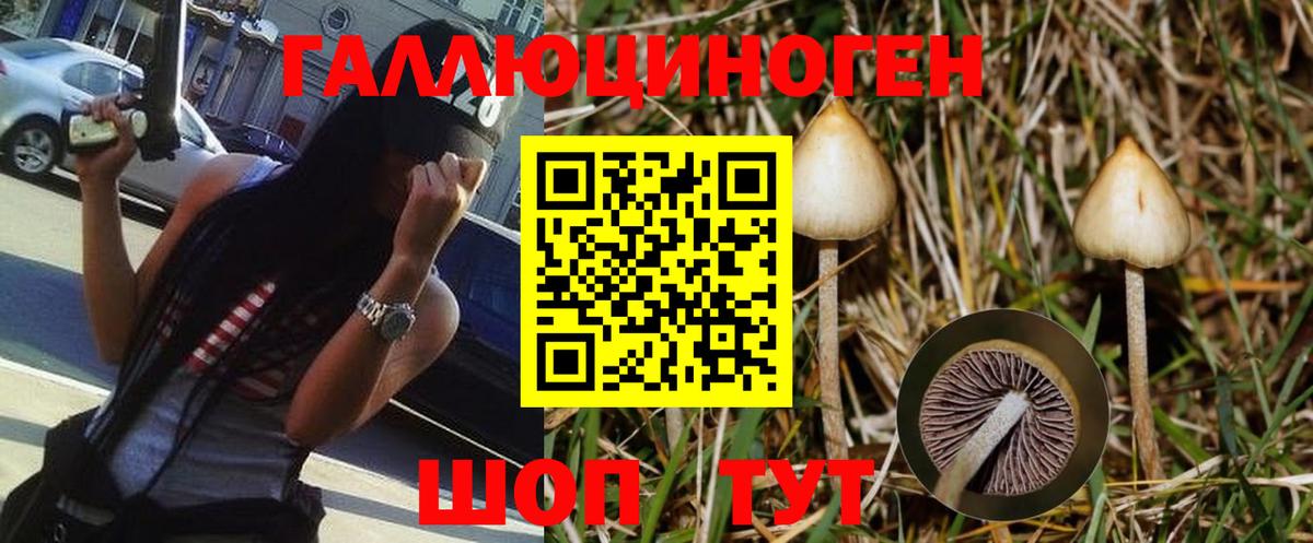 Псилоцибиновые грибы Magic Shrooms  купить  цена  Оренбург  Вход с VPN  Псилоцибиновые грибы мицелий 